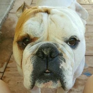 Meet your Posher, Jaz